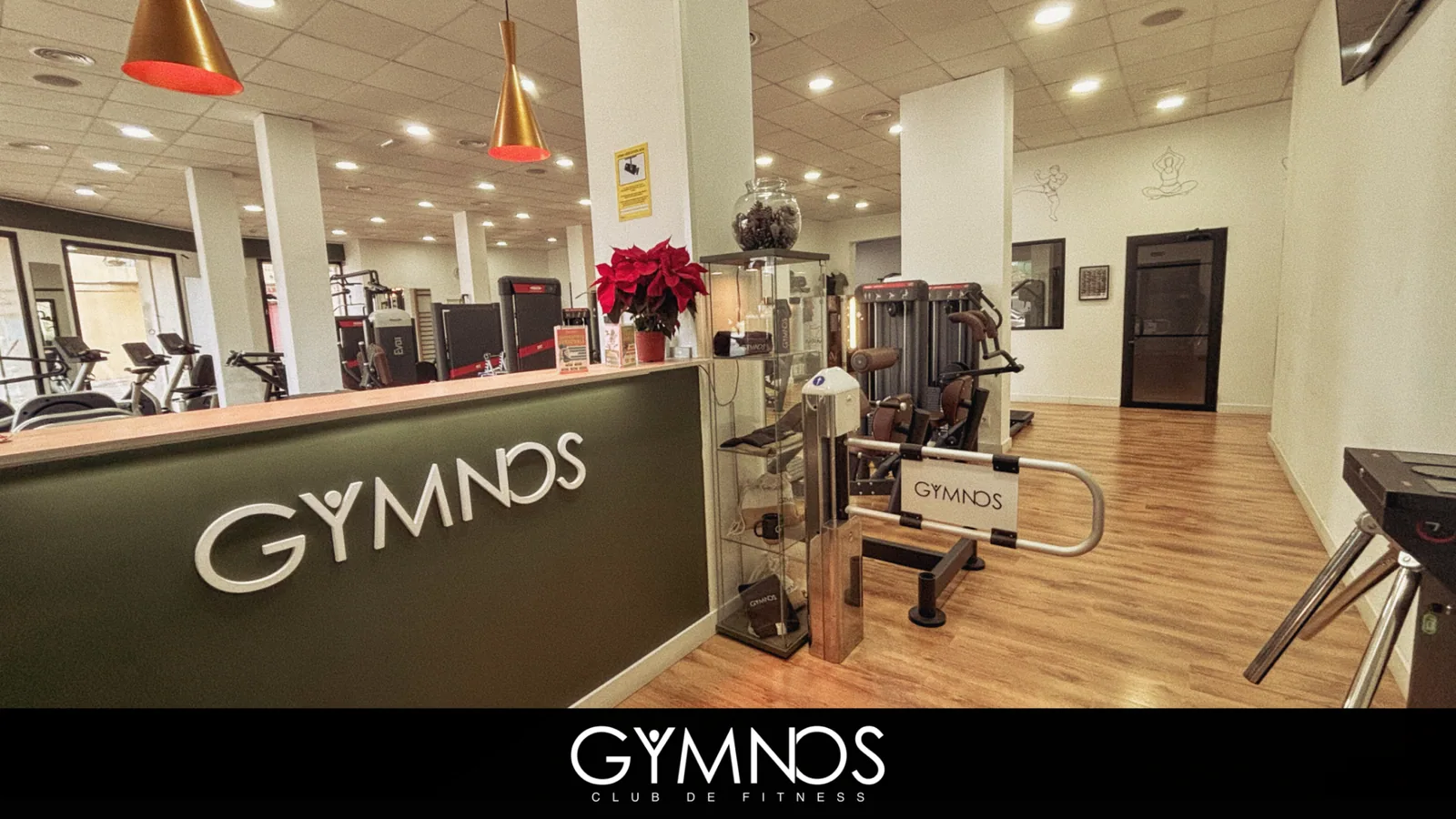 Fotografia 1 de la galeria de Gymnos
